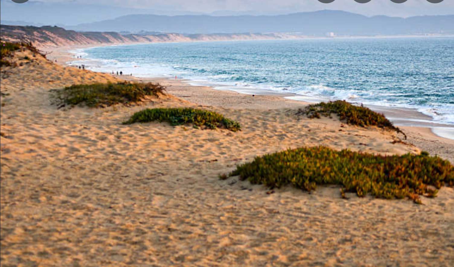 Screen Shot of the Beach